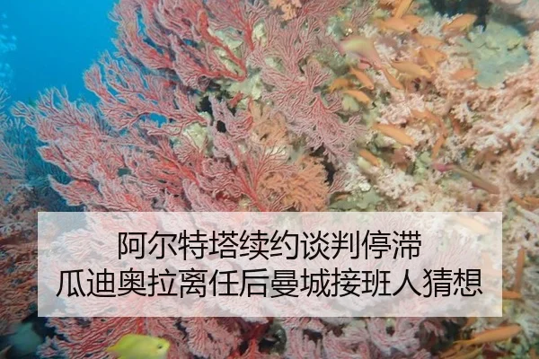 阿尔特塔续约谈判停滞 瓜迪奥拉离任后曼城接班人猜想